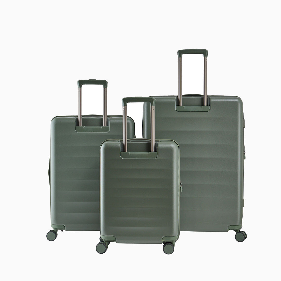 Forest — Phoenix hard shell suitcase, 55cm cabin, shown to scale